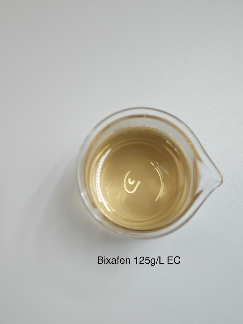 Bixafen 125g/L EC